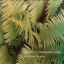 Edgar froese epsilon - -, in