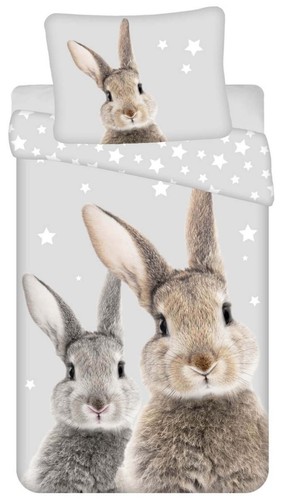 Hasen paar kaninchen - hasen,
