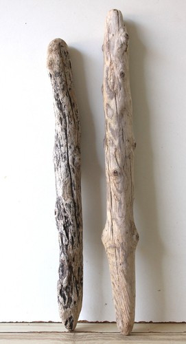 Treibholz schwemmholz - treibholz,