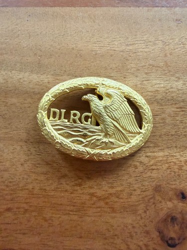 Goldenes dlrg abzeichen - goldenes, dlrg-abzeichen