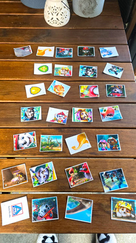 Paw patrol non sport - paw,