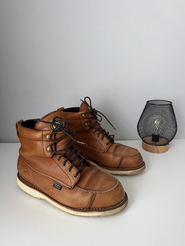 Irish setter red wing - red,