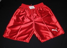 Puma Glanz Shorts Größe