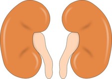 NEBENNIEREN CARE SHAKTI -