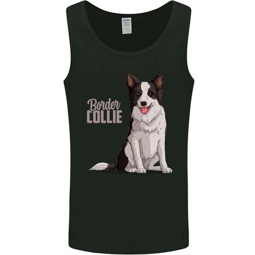 Border collie hund - border,