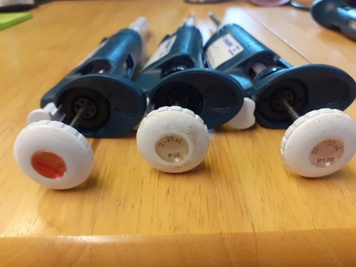 Gilson pipetman set p10 p20 - pipetman,