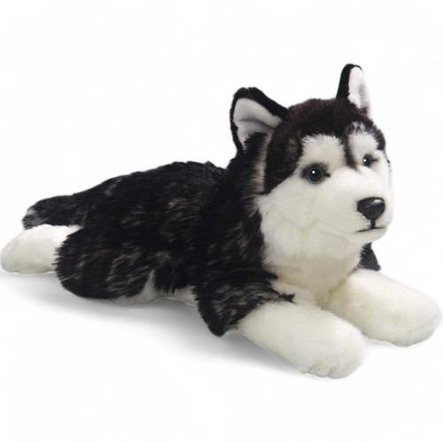 Carl dick husky - carl, schwarz