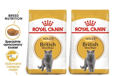 Royal canin british - british, shorthair