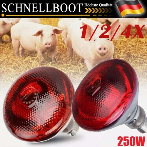 4stk 250w infrarotlampe - 250w,