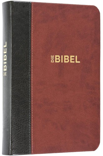 Schlachter 2000 bibel - schlachter,