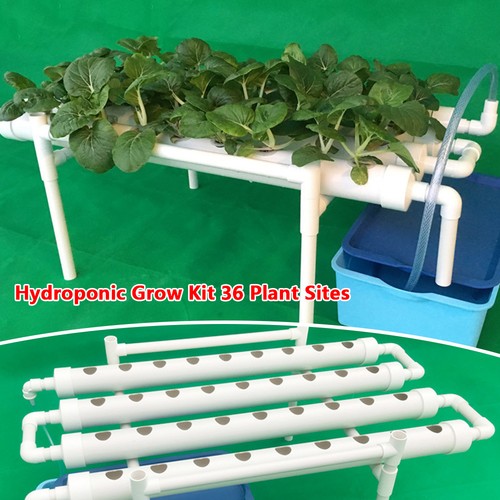 Hydroponic grow kit system - hydroponic,