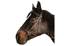 IV Pferd gebisslose Trense