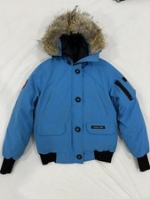Canada goose chilliwack - goose,
