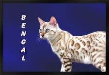 Fußmatte Schmutzfangmatte Katze Rassekatze Bengal F1209