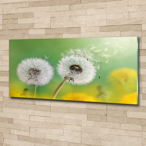 Glas bild wandbilder - wandbilder, auf