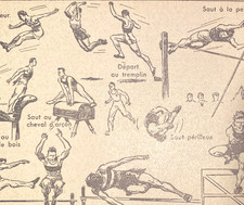 Alte Lithographie, Sauge