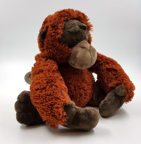 Nici affe orang - nici,