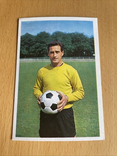 Bergmann 1965 50 tilkowski - bergmann,