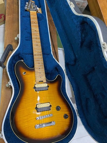 Peavey wolfgang evh gitarre - peavey,
