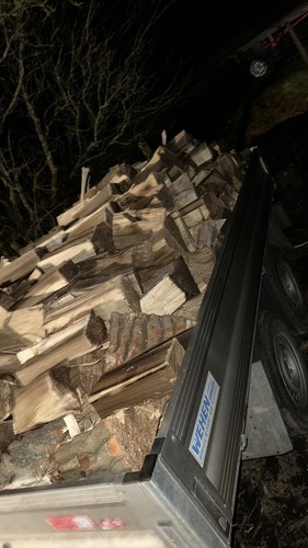 Feuerholz brennholz kamin - feuerholz/brennholz,