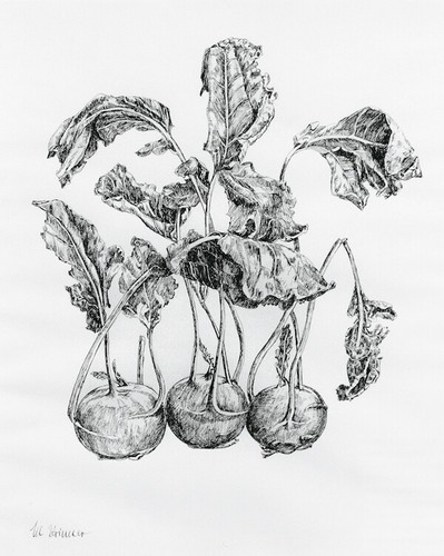 Gemüse stilleben kohlrabi - gemüse-stilleben,