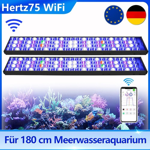 Popbloom meerwasser led - popbloom,