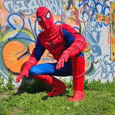 Spiderman superhero muscle - superhero,