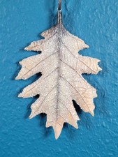 Eiche Herbst Dekoration Laub