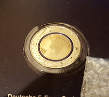  5 Euro mit blauem Polymerring