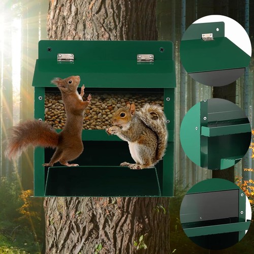 Eichhörnchen futterhaus - eichhörnchen,