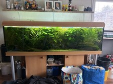 Aquarium komplett set mit