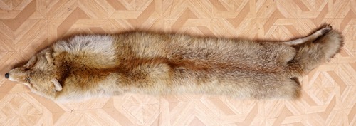 Schönes fuchsfell fox fur mit - fox,