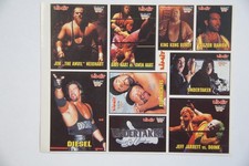 WWF Wrestling - 1994 Disney Limit Sticker - Undertaker - Bret Hart - Doink....