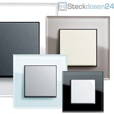GIRA Steckdose System 55 ESPRIT GLAS Rahmen Steckdosen Schalter