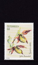 österreich 2017 - Österreich,