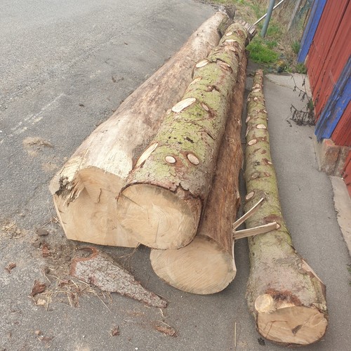 Brennholz fichte stammholz - brennholz,