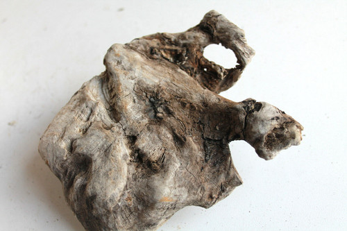 Schwemmholz treibholz skulptur - treibholz,