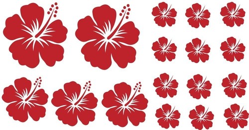 Stück hibiskus rote - ,
