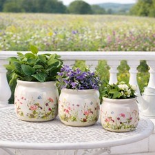 Sommer Wiesenblumen Blumentopf