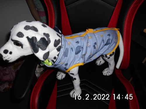 Hunde softshell mantel - hunde,