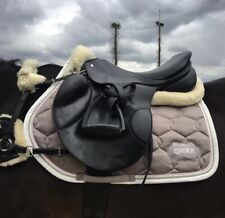 Eskadron chocochip powderrose Glossy Schabracke WB VS