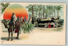 13573213 - Tracht Kamel