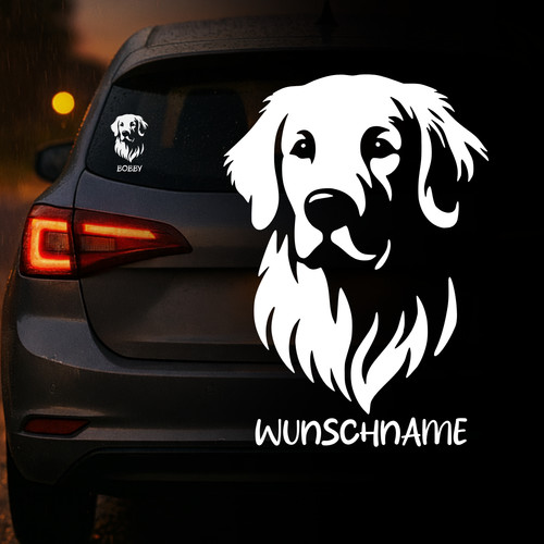 Golden retriever auto - golden,
