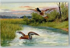 39440971 - Flugenten OGZL Nr.353-1736 Ente