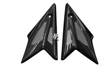 Carbon Seitenverkleidung unter