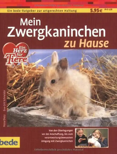 Mein zwergkaninchen hause - zwergkaninchen,