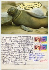 45637 - Schlafender Seehund - Ansichtskarte, gelaufen 1.10.1996 nach Japan
