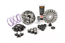 Variomatik Malossi MHR Team 2