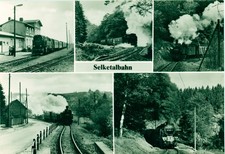 1594-Ansichtskarte Selketalbahn Harzer Schmalspurbahnen Reichsbahn Dampf Anhalt