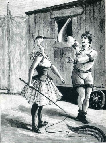 Max ernst oeuvre - oeuvre, 6